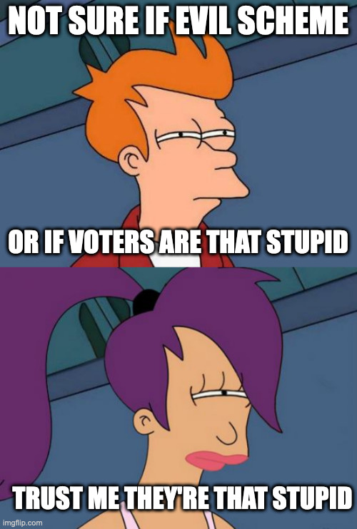 NOT SURE IF EVIL SCHEME OR IF VOTERS ARE THAT STUPID TRUST ME THEY'RE THAT STUPID | image tagged in memes,futurama fry,futurama leela | made w/ Imgflip meme maker