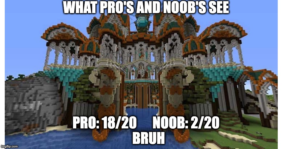 Pro and Noob | WHAT PRO'S AND NOOB'S SEE; PRO: 18/20      NOOB: 2/20
  BRUH | image tagged in funny memes | made w/ Imgflip meme maker