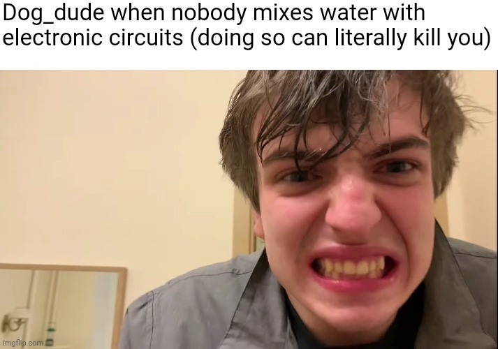 true | Dog_dude when nobody mixes water with electronic circuits (doing so can literally kill you) | image tagged in angry russian guy staring,memes | made w/ Imgflip meme maker