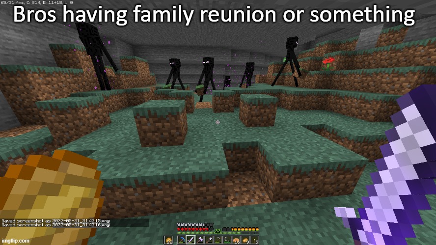 Isn't this rare? | Bros having family reunion or something | image tagged in minecraft | made w/ Imgflip meme maker