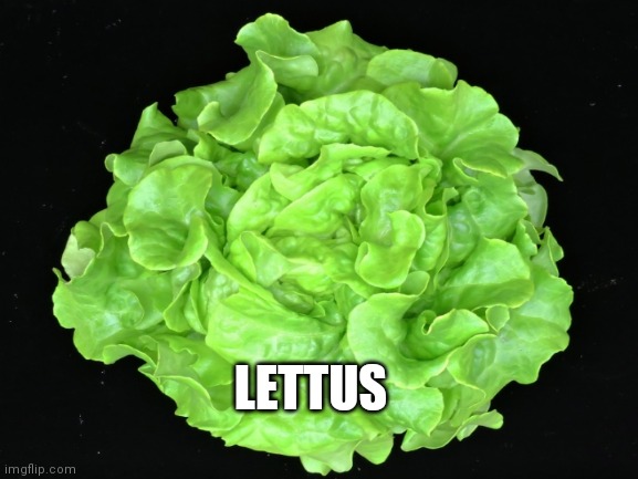 Hmmm | LETTUS | image tagged in lettuce | made w/ Imgflip meme maker