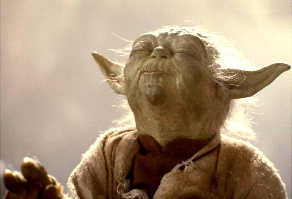 Yoda sense Blank Meme Template