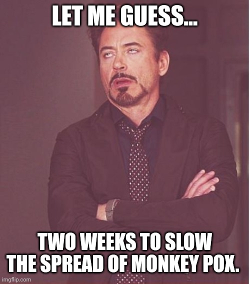 We know how two weeks worked out. |  LET ME GUESS... TWO WEEKS TO SLOW THE SPREAD OF MONKEY POX. | image tagged in memes,face you make robert downey jr | made w/ Imgflip meme maker