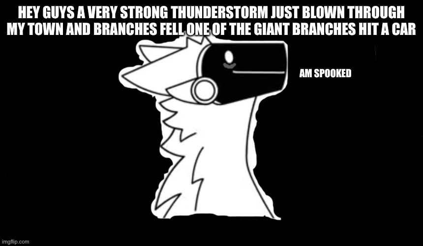 Protogen but dark background | HEY GUYS A VERY STRONG THUNDERSTORM JUST BLOWN THROUGH MY TOWN AND BRANCHES FELL ONE OF THE GIANT BRANCHES HIT A CAR; AM SPOOKED | image tagged in protogen but dark background | made w/ Imgflip meme maker