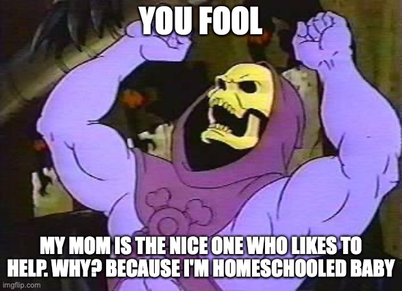 You Fool Skeletor | YOU FOOL MY MOM IS THE NICE ONE WHO LIKES TO HELP. WHY? BECAUSE I'M HOMESCHOOLED BABY | image tagged in you fool skeletor | made w/ Imgflip meme maker