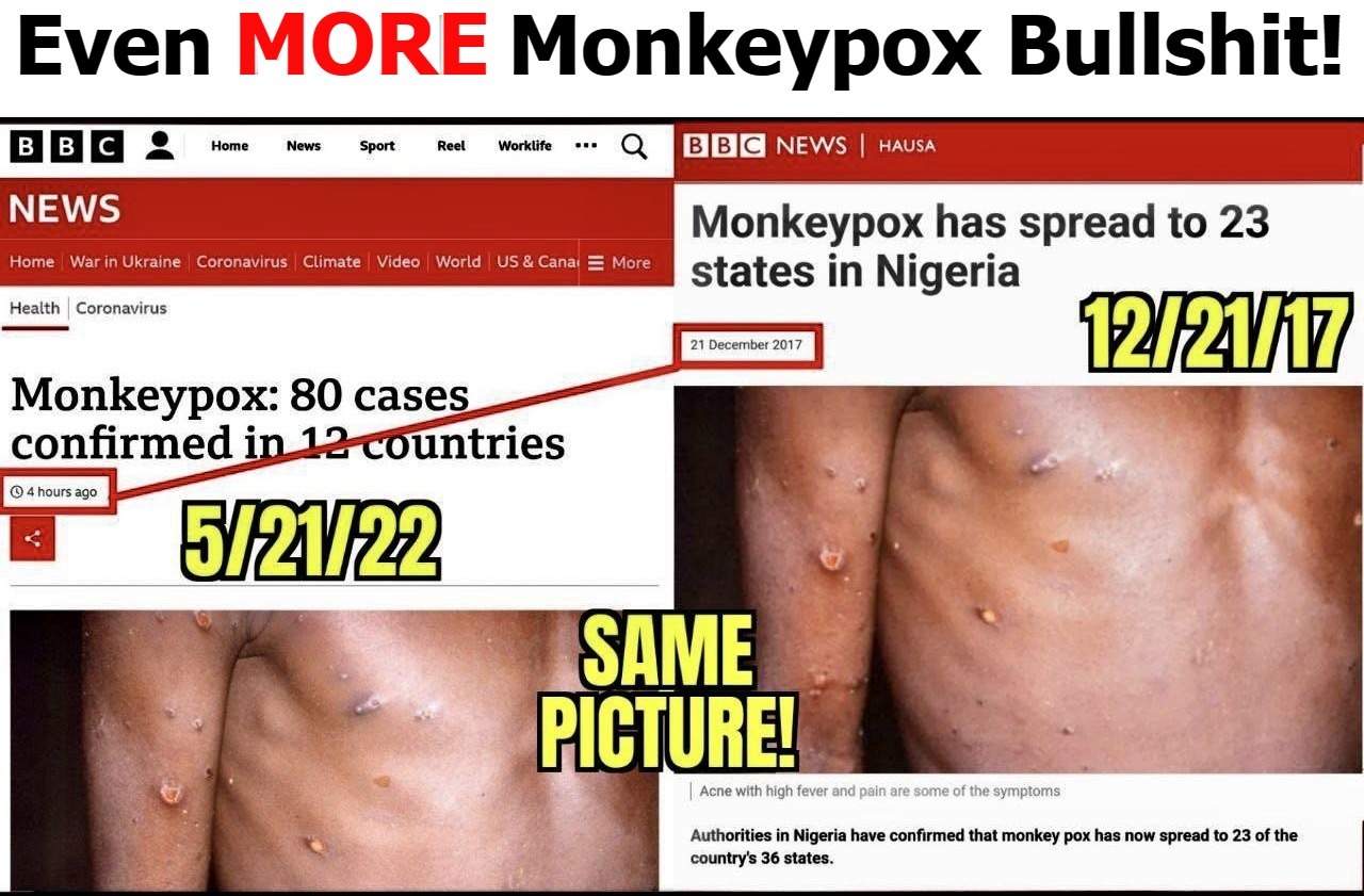More Breaking FAKE NEWS About Monkeypox! | image tagged in monkey business,monkeypox,who bullshit,fake news,scamdemic,plandemic | made w/ Imgflip meme maker