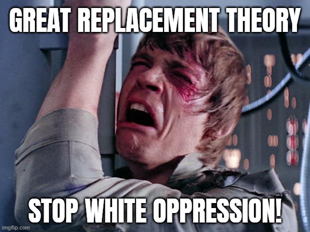 I'M SUCH A VICTIM! | image tagged in replacement theory,fake victimhood,white privilege,luke crywalker,white supremacists,snowflakes | made w/ Imgflip meme maker