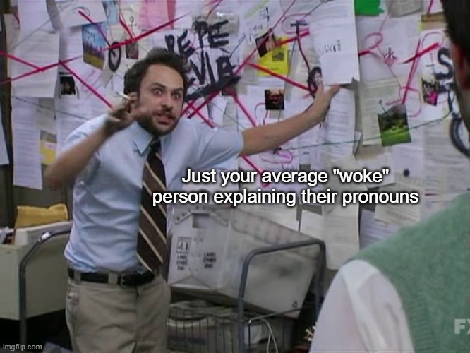 I don't need a whole class just to tell you I want fries with that | Just your average "woke" person explaining their pronouns | image tagged in charlie conspiracy always sunny in philidelphia | made w/ Imgflip meme maker