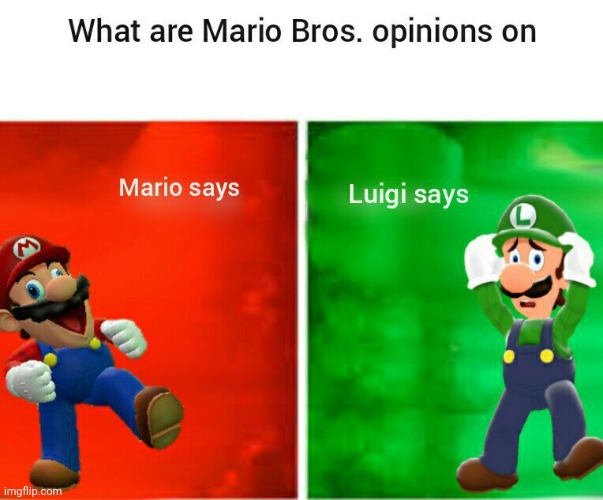 Use this template | image tagged in smg4 opinions | made w/ Imgflip meme maker