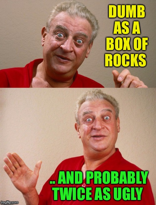 Classic Rodney | DUMB AS A BOX OF ROCKS .. AND PROBABLY TWICE AS UGLY | image tagged in classic rodney | made w/ Imgflip meme maker