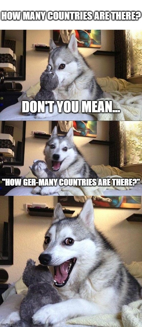 Sorry, not sorry |  HOW MANY COUNTRIES ARE THERE? DON'T YOU MEAN... "HOW GER-MANY COUNTRIES ARE THERE?" | image tagged in memes,bad pun dog,funny | made w/ Imgflip meme maker