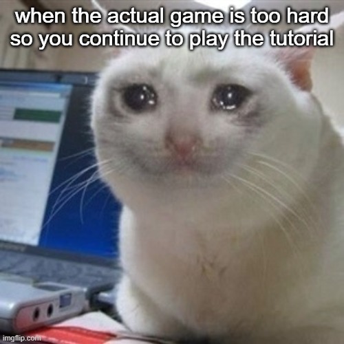 Crying cat | when the actual game is too hard so you continue to play the tutorial | image tagged in crying cat | made w/ Imgflip meme maker