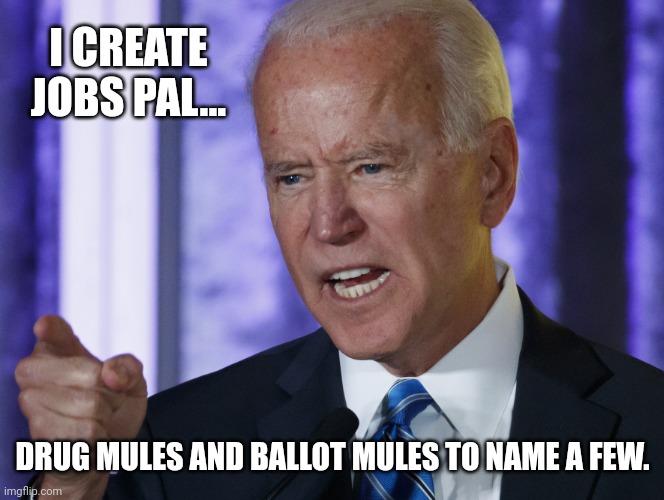 Those are jobs, illegal but jobs. | I CREATE JOBS PAL... DRUG MULES AND BALLOT MULES TO NAME A FEW. | image tagged in biden points | made w/ Imgflip meme maker