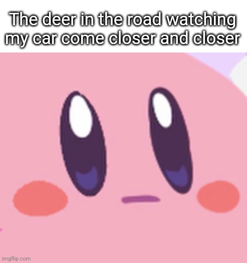 Blank Kirby Face | The deer in the road watching my car come closer and closer | image tagged in blank kirby face,funny,memes,funny memes,relatable,oh wow are you actually reading these tags | made w/ Imgflip meme maker