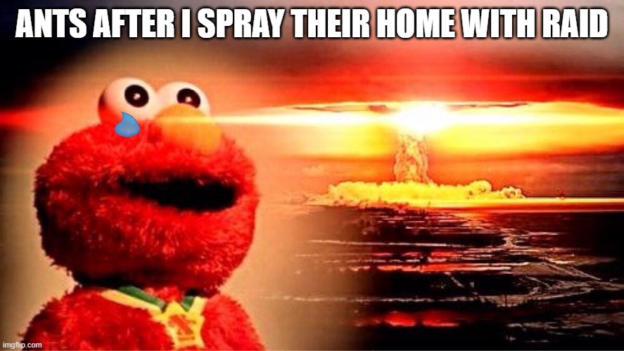 elmo explosions | ANTS AFTER I SPRAY THEIR HOME WITH RAID | image tagged in elmo nuclear explosion | made w/ Imgflip meme maker