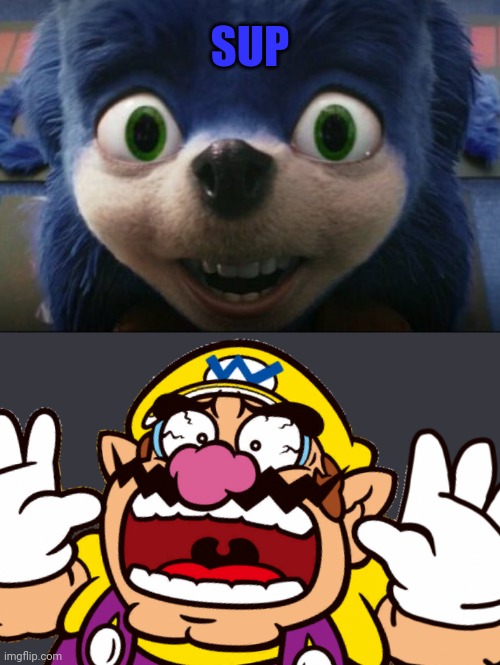 Wario meets Ugly Sonic and dies after he met him.mp3 | SUP | image tagged in wario,wario dies,ugly sonic,sonic the hedgehog | made w/ Imgflip meme maker
