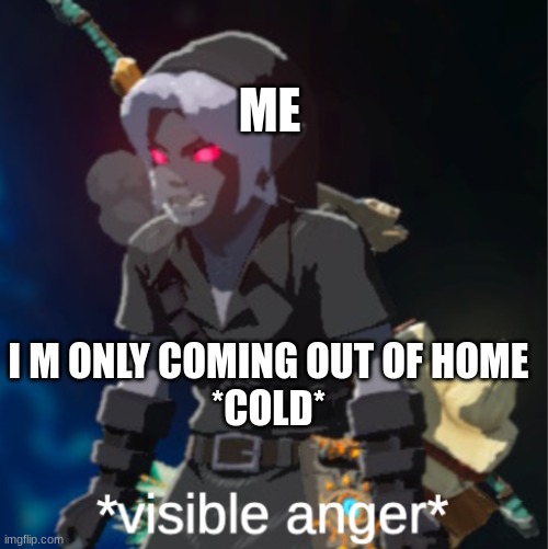 Visible anger | ME; I M ONLY COMING OUT OF HOME
*COLD* | image tagged in visible anger | made w/ Imgflip meme maker