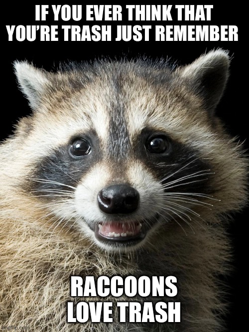 The newest motivational poster | IF YOU EVER THINK THAT YOU’RE TRASH JUST REMEMBER; RACCOONS LOVE TRASH | image tagged in raccoon,motivational,trash,animals,cute,self esteem | made w/ Imgflip meme maker