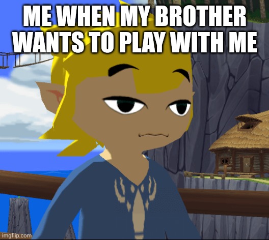 Annoyed link | ME WHEN MY BROTHER WANTS TO PLAY WITH ME | image tagged in annoyed link | made w/ Imgflip meme maker