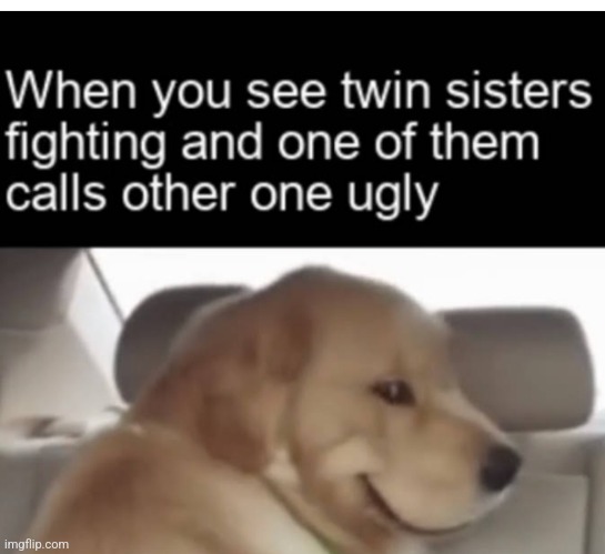 image tagged in funny memes | made w/ Imgflip meme maker