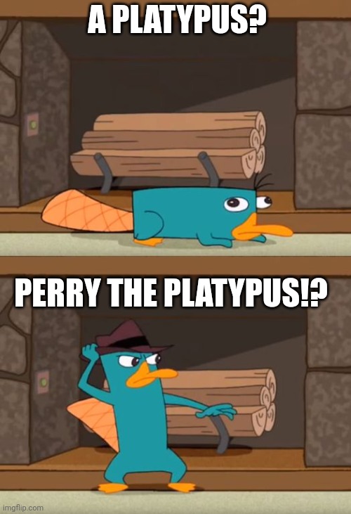 Agent p theme song | A PLATYPUS? PERRY THE PLATYPUS!? | image tagged in perry the platypus | made w/ Imgflip meme maker