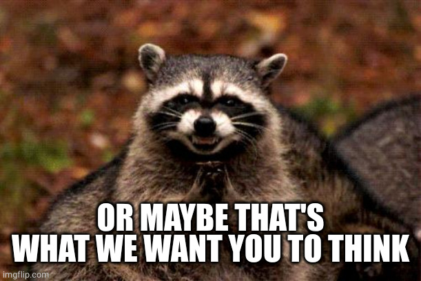 Evil Plotting Raccoon Meme | OR MAYBE THAT'S WHAT WE WANT YOU TO THINK | image tagged in memes,evil plotting raccoon | made w/ Imgflip meme maker