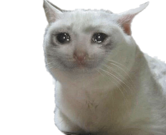 High Quality crying cat Blank Meme Template