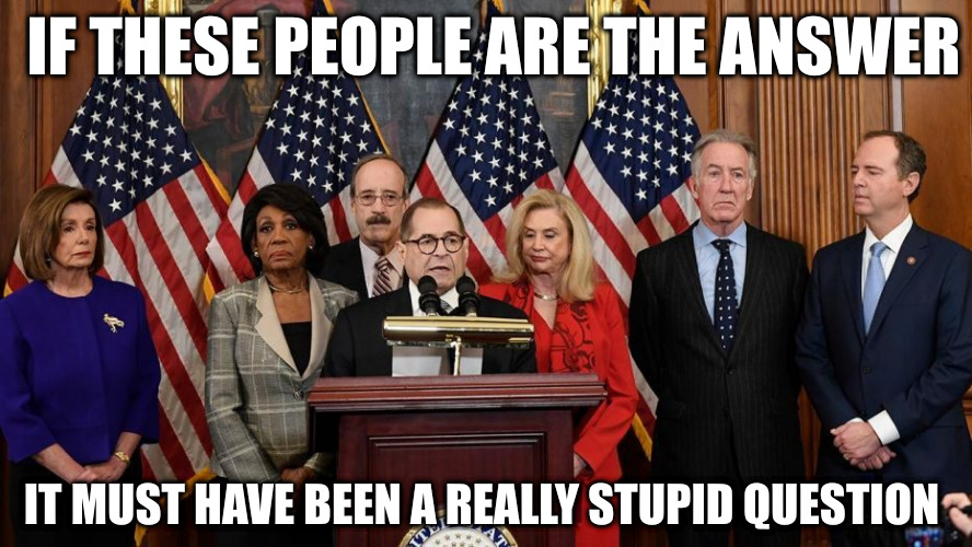 There are no dumb questions just dumb answers. | IF THESE PEOPLE ARE THE ANSWER; IT MUST HAVE BEEN A REALLY STUPID QUESTION | image tagged in house democrats | made w/ Imgflip meme maker