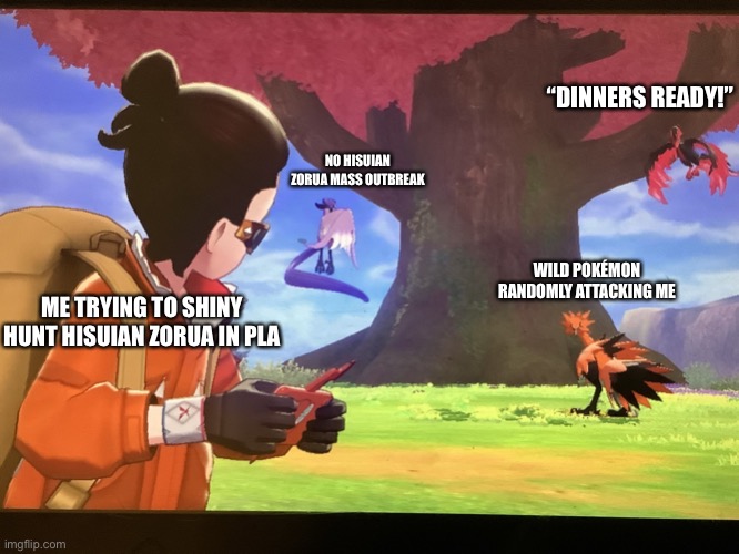 Still Don’t Have One… | “DINNERS READY!”; NO HISUIAN ZORUA MASS OUTBREAK; WILD POKÉMON RANDOMLY ATTACKING ME; ME TRYING TO SHINY HUNT HISUIAN ZORUA IN PLA | image tagged in galarian bird trio staring at player | made w/ Imgflip meme maker