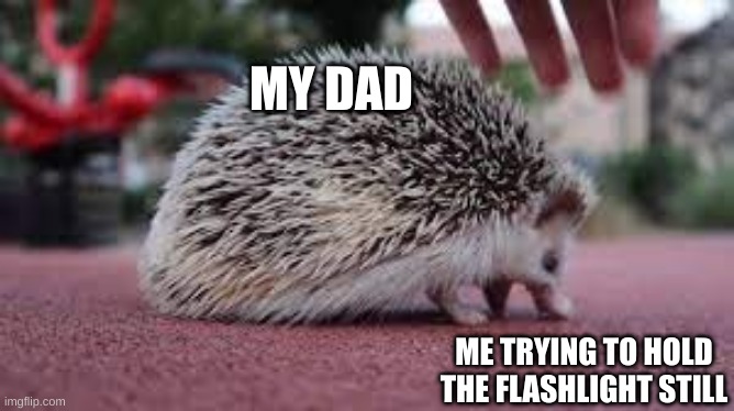 Screaming hedgehog | MY DAD; ME TRYING TO HOLD THE FLASHLIGHT STILL | image tagged in screaming hedgehog | made w/ Imgflip meme maker