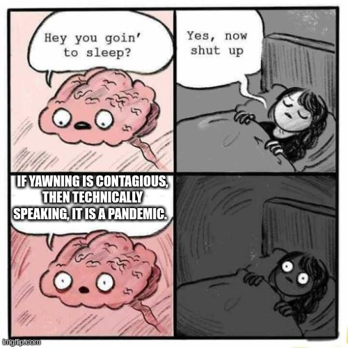 *Realization* | IF YAWNING IS CONTAGIOUS, THEN TECHNICALLY SPEAKING, IT IS A PANDEMIC. | image tagged in hey you going to sleep | made w/ Imgflip meme maker