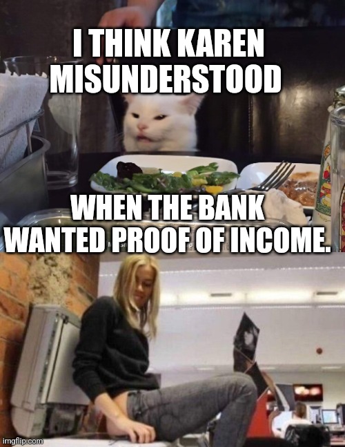I THINK KAREN MISUNDERSTOOD; WHEN THE BANK WANTED PROOF OF INCOME. | image tagged in smudge the cat | made w/ Imgflip meme maker