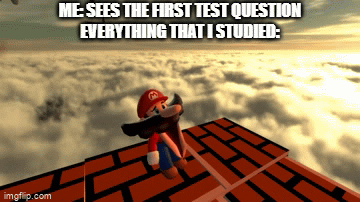 a d i o s | ME: SEES THE FIRST TEST QUESTION

EVERYTHING THAT I STUDIED: | image tagged in gifs,mario | made w/ Imgflip video-to-gif maker