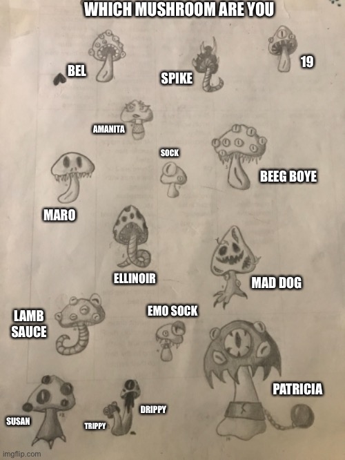 WHICH MUSHROOM ARE YOU; 19; SPIKE; BEL; AMANITA; SOCK; BEEG BOYE; MARO; ELLINOIR; MAD DOG; EMO SOCK; LAMB SAUCE; SUSAN; DRIPPY; PATRICIA; TRIPPY | made w/ Imgflip meme maker