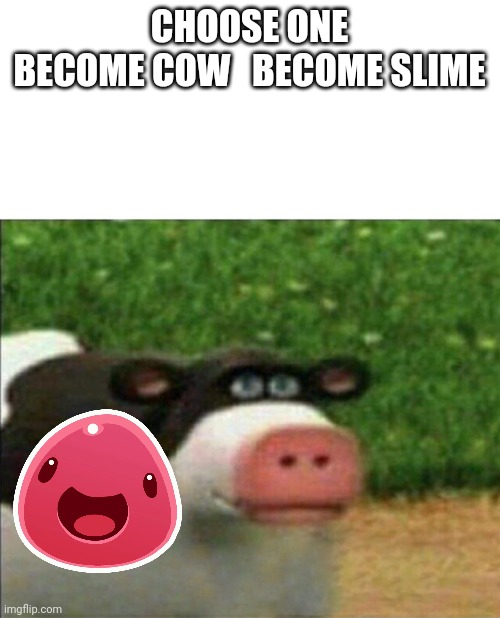 Choose a curse | CHOOSE ONE
BECOME COW   BECOME SLIME | image tagged in perhaps cow | made w/ Imgflip meme maker