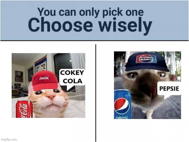 you can pick only one choose wisely | image tagged in you can pick only one choose wisely | made w/ Imgflip meme maker