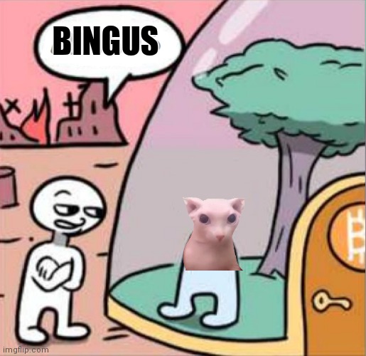 amogus |  BINGUS | image tagged in amogus | made w/ Imgflip meme maker