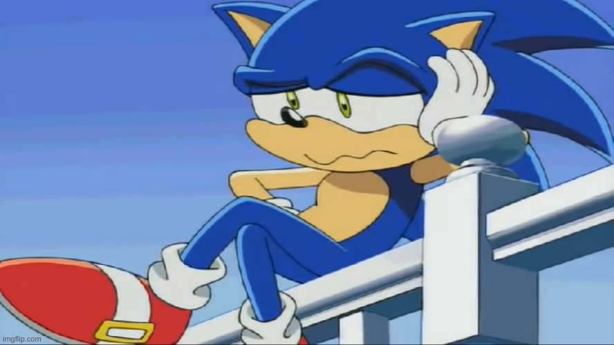 I'm not a Furry...But | image tagged in impatient sonic - sonic x | made w/ Imgflip meme maker