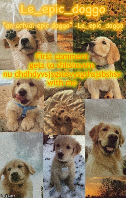 Doggo temp by doggo. Wait what that’s confusing | First comment gets to shhshsvshs nu dhdhdyvsjsgsusvysgshsjsbshsv with me | image tagged in doggo temp by doggo wait what that s confusing | made w/ Imgflip meme maker