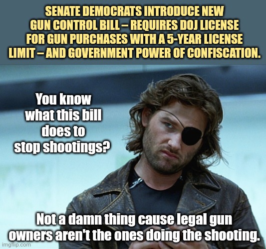 Attacking the ones not doing the killing. | SENATE DEMOCRATS INTRODUCE NEW GUN CONTROL BILL – REQUIRES DOJ LICENSE FOR GUN PURCHASES WITH A 5-YEAR LICENSE LIMIT – AND GOVERNMENT POWER OF CONFISCATION. You know what this bill does to stop shootings? Not a damn thing cause legal gun owners aren't the ones doing the shooting. | image tagged in memes | made w/ Imgflip meme maker