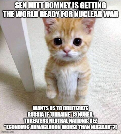 Meow wow wow wtf??? | SEN MITT ROMNEY IS GETTING THE WORLD READY FOR NUCLEAR WAR; WANTS US TO OBLITERATE RUSSIA IF *UKRAINE* IS NUKED, THREATENS NEUTRAL NATIONS, SEZ "ECONOMIC ARMAGEDDON WORSE THAN NUCLEAR"?! | image tagged in memes,cute cat | made w/ Imgflip meme maker