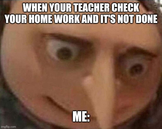 gru meme | WHEN YOUR TEACHER CHECK YOUR HOME WORK AND IT'S NOT DONE; ME: | image tagged in gru meme | made w/ Imgflip meme maker