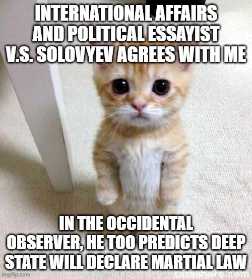 Told ya | INTERNATIONAL AFFAIRS AND POLITICAL ESSAYIST V.S. SOLOVYEV AGREES WITH ME; IN THE OCCIDENTAL OBSERVER, HE TOO PREDICTS DEEP STATE WILL DECLARE MARTIAL LAW | image tagged in memes,cute cat | made w/ Imgflip meme maker