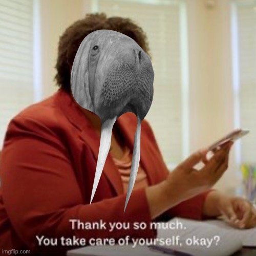 I did not know that the Georgia Aquarium is a voting station | image tagged in memes,stacey abrams,walrus,black,fat,georgia | made w/ Imgflip meme maker