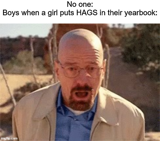 Walter White | No one:
Boys when a girl puts HAGS in their yearbook: | image tagged in walter white | made w/ Imgflip meme maker