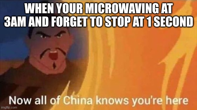 happened to me a few times | WHEN YOUR MICROWAVING AT 3AM AND FORGET TO STOP AT 1 SECOND | image tagged in now all of china knows you're here | made w/ Imgflip meme maker