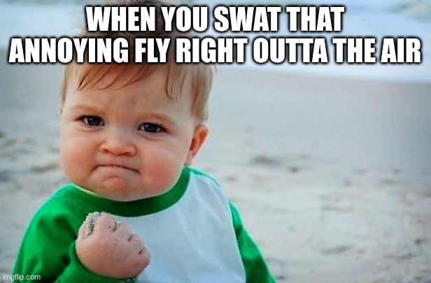 Finally, some peace and quiet... | WHEN YOU SWAT THAT ANNOYING FLY RIGHT OUTTA THE AIR | image tagged in victory baby,les go,annoying,mission accomplished,finally inner peace | made w/ Imgflip meme maker