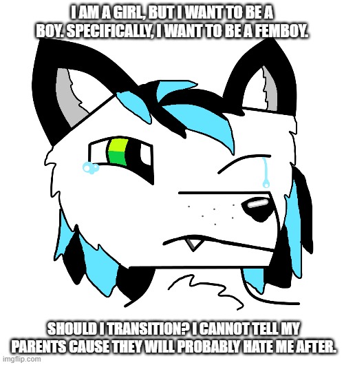 This is anonymous |  I AM A GIRL, BUT I WANT TO BE A BOY. SPECIFICALLY, I WANT TO BE A FEMBOY. SHOULD I TRANSITION? I CANNOT TELL MY PARENTS CAUSE THEY WILL PROBABLY HATE ME AFTER. | image tagged in transgender,femboy,girl,boy,help | made w/ Imgflip meme maker