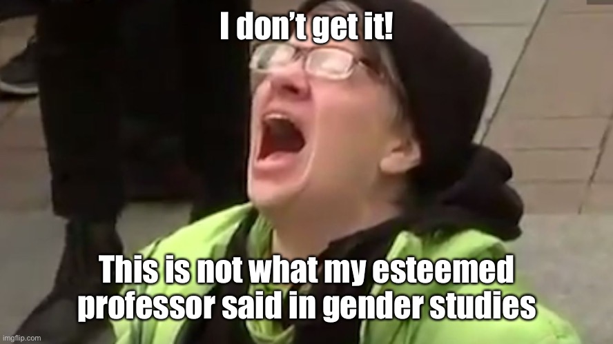 Screaming Liberal  | I don’t get it! This is not what my esteemed professor said in gender studies | image tagged in screaming liberal | made w/ Imgflip meme maker