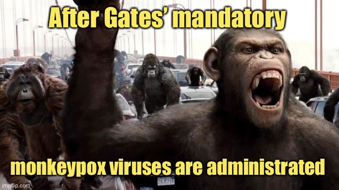 Planet of the apes | After Gates’ mandatory monkeypox viruses are administrated | image tagged in planet of the apes | made w/ Imgflip meme maker